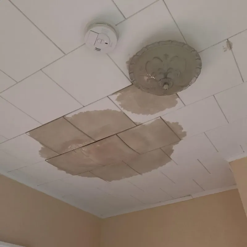 Ceiling Water Damage Repair in Heathcote, NJ
