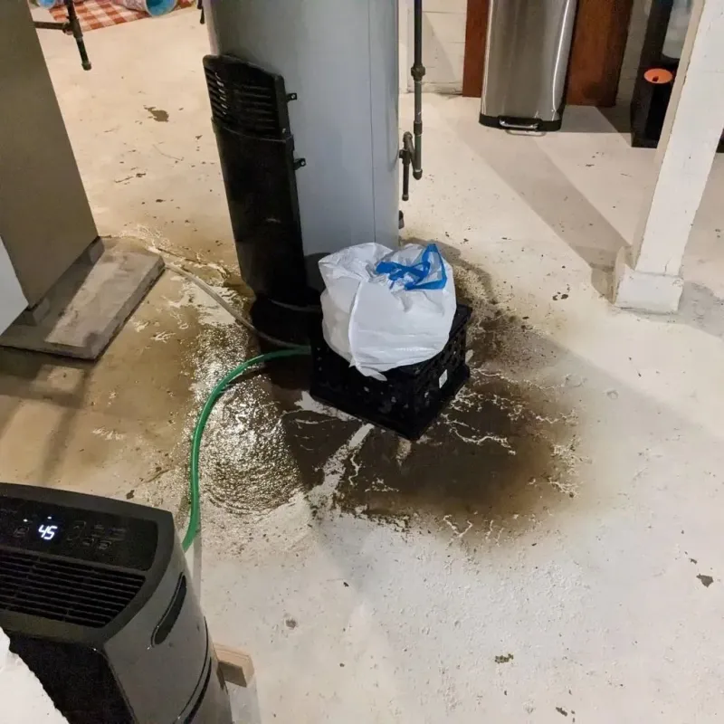 Sewage Backup Cleanup Service in Heathcote, NJ